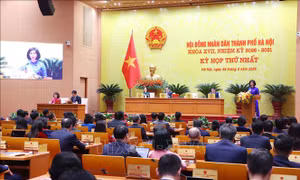 Phê chuẩn kết quả bầu Chủ tịch HĐND các tỉnh, thành phố nhiệm kỳ 2026 - 2031