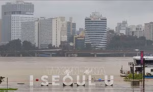 Sau trận mưa lớn nhất 80 năm, Seoul mạnh tay chi hơn 1,1 tỷ USD để chống ngập lụt