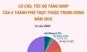 Cơ cấu, tốc độ tăng GRDP của 6 thành phố trực thuộc trung ương