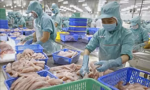 CPTPP - Điểm tựa thúc đẩy dòng chảy thương mại tự do