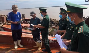Bầu cử QH và HĐND: Ngư dân Bến Tre sẵn sàng đón ngày hội lớn