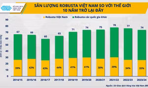 Cà phê Robusta từ Brazil đang đe dọa vị trí 'ngôi vương' của Việt Nam