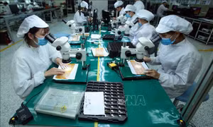 Kỳ vọng các chính sách lan tỏa hỗ trợ doanh nghiệp tăng trưởng