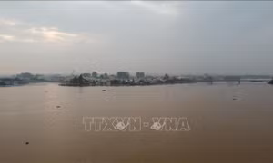 Cảnh báo lũ trên sông Đồng Nai