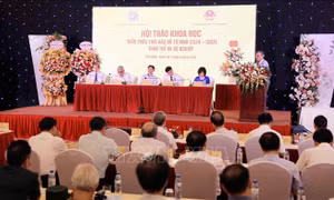 Hội thảo khoa học về Thái Bảo Đỗ Tử Bình 