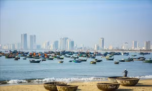 Mở lại các tuyến du lịch ở bán đảo Sơn Trà sau gần 3 năm tạm dừng