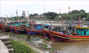 Thái Bình nghiêm cấm tàu, thuyền ra khơi từ 9 giờ ngày 9/10