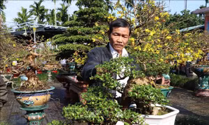 Phát triển kinh tế từ nghề sinh vật cảnh