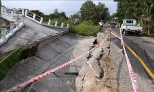Sụt lún, sạt lở gây thiệt hại hơn 60 tỷ đồng tại huyện U Minh Thượng