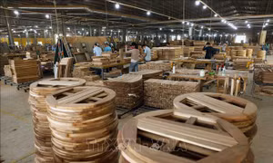 Thúc đẩy doanh nghiệp tư nhân, nâng cao hiệu quả doanh nghiệp nhà nước