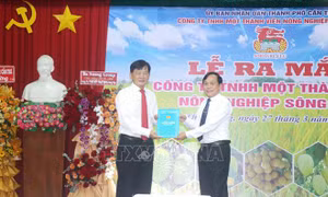 Công bố quyết định chuyển đổi Nông trường Sông Hậu thành công ty TNHH