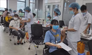 Hải Phòng chủ động kịch bản dịch bệnh có diễn biến xấu, lây lan trong cộng đồng