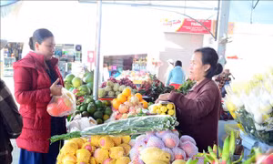 Nữ doanh nhân trẻ năng động, đau đáu với việc phát triển quê hương