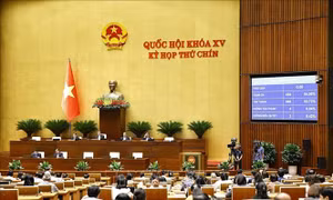 Áp thuế tiêu thụ đặc biệt đối với điều hoà nhằm mở lối cho tiêu dùng xanh