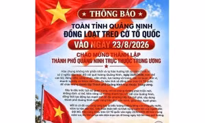 Thông tin toàn tỉnh Quảng Ninh đồng loạt treo cờ Tổ quốc ngày 23/8 là tin giả