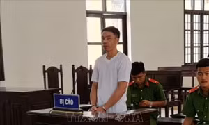 Án phạt thích đáng cho đối tượng dùng xẻng đánh người chấn thương sọ não