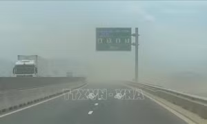 Khẩn trương khắc phục các tồn tại trên cao tốc Quảng Ngãi - Hoài Nhơn