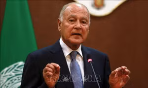 Lãnh đạo Liên hợp quốc và AL thảo luận về vấn đề Palestine