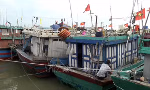 Nghệ An cấm tàu thuyền ra khơi để ứng phó bão số 13