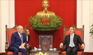 Trưởng ban Kinh tế Trung ương tiếp Phó Chủ tịch Tập đoàn Gazprom và Đoàn Giáo sư Đại học Havard 