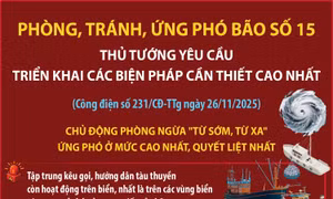 Triển khai các biện pháp cần thiết cao nhất để phòng, tránh, ứng phó bão số 15