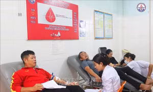 Những 'anh hùng' thầm lặng hiến máu cứu người