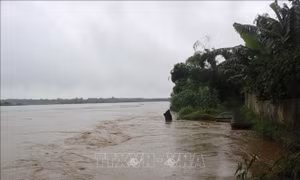 Phú Thọ chủ động ứng phó với mọi tình huống trong mùa mưa lũ
