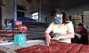 Các địa phương xúc tiến thương mại cho sản phẩm OCOP