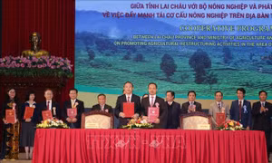 Xúc tiến thu hút đầu tư nông nghiệp vào tỉnh Lai Châu 