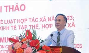 Bổ nhiệm Phó Chủ tịch Hội đồng tiền lương quốc gia
