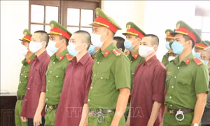Vụ Tịnh thất Bồng Lai: Đề nghị mức án đến 5 năm 6 tháng tù đối với bị cáo Lê Tùng Vân