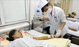 11 lĩnh vực ưu tiên trong Chương trình Sức khỏe Việt Nam