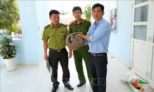 Tiếp nhận một cá thể tê tê quý hiếm từ người dân