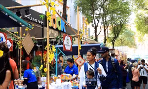Lễ hội Đường sách Tết Quý Mão thu hút 800.000 lượt khách tham quan