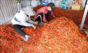 Xây dựng thương hiệu nông sản, gia vị Việt bằng sản phẩm chế biến
