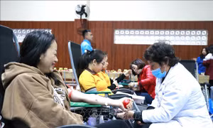 Yên Bái: Tiếp nhận gần 700 đơn vị máu trong Chương trình Ngày Chủ nhật đỏ 