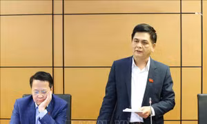 Xây dựng mạng lưới đường sắt đồng bộ, hiệu quả, phát triển đô thị hiện đại