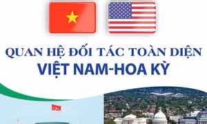 Quan hệ Đối tác toàn diện Việt Nam-Hoa Kỳ