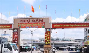 Bảo đảm thị trường hàng hóa khu vực phía Nam - Bài 3: Mong… chợ đừng đông