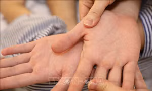 Hà Nội: Ra văn bản yêu cầu không lơ là, không để dịch sốt xuất huyết bùng phát 