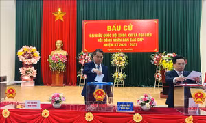 Rộn ràng ngày hội bầu cử tại nhiều địa phương