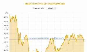 Phiên 22/11/2024: VN-Index giảm nhẹ