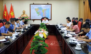 Lãnh đạo tỉnh Thái Bình thông tin về Khu bảo tồn thiên nhiên đất ngập nước Tiền Hải