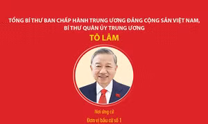 Các đồng chí lãnh đạo cấp cao ứng cử đại biểu Quốc hội khóa XVI 