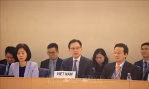 Nhóm làm việc về UPR của Hội đồng Nhân quyền LHQ thông qua Báo cáo của Việt Nam