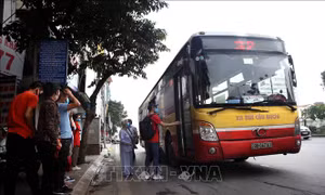 Hà Nội đề xuất giảm chỉ tiêu sản lượng và doanh thu vận tải khách công cộng bằng xe buýt