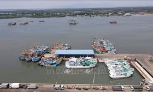 TP Hồ Chí Minh sẽ chi hơn 67 tỷ đồng chuyển đổi nghề cá cho ngư dân