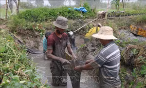 Hỗ trợ nông dân chuyển đổi cơ cấu sản xuất