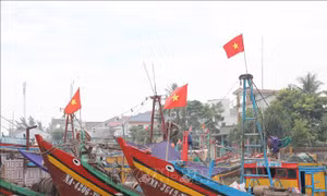 Sắc thắm cờ Tổ quốc điểm tô làng biển