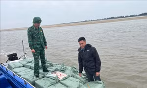 Thu giữ 1,2 tấn thịt vịt đông lạnh không rõ nguồn gốc